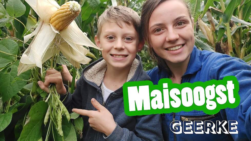 Maisoogst!! - Geerke's vlog #9 - Vloggende jonge boeren