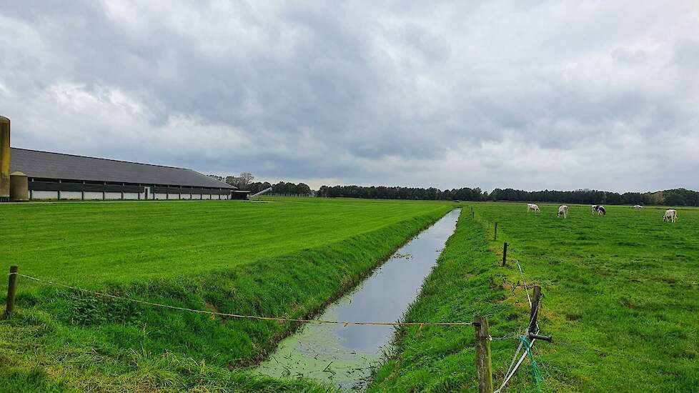 Onder het linkse perceel van de familie Addink (deelnemende melkveehouder aan het project) is drainage aangelegd. Onder het rechtse perceel niet. Ondanks de natte periode kon de melkveehouder hier onlangs nog een snede gras vanaf halen.