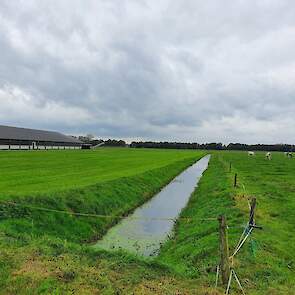 Onder het linkse perceel van de familie Addink (deelnemende melkveehouder aan het project) is drainage aangelegd. Onder het rechtse perceel niet. Ondanks de natte periode kon de melkveehouder hier onlangs nog een snede gras vanaf halen.