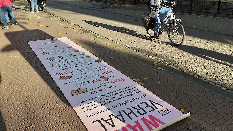 De roze loper ligt uit in Nijmegen, als symbool voor een open gesprek.