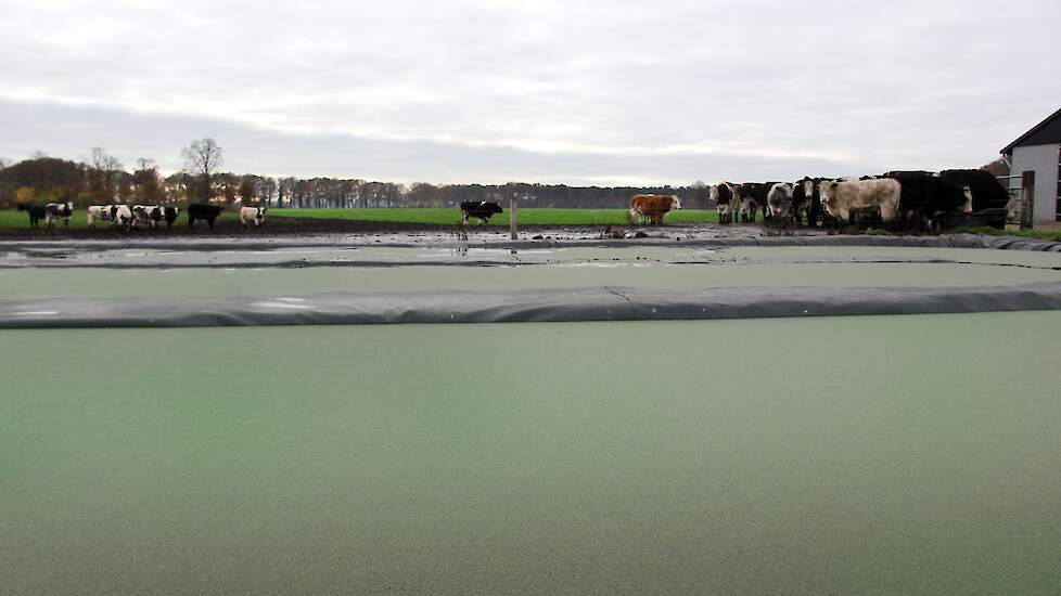 Met behulp van restwarmte, digestaat en CO2 uit de vergister produceert Future Farm straks eendenkroos in vijvers. In eerste instantie was deze teelt bedoeld om subsidie te verkrijgen, volgens Back. Die vrijkomende CO2 uit de vergister gaat binnenkort in