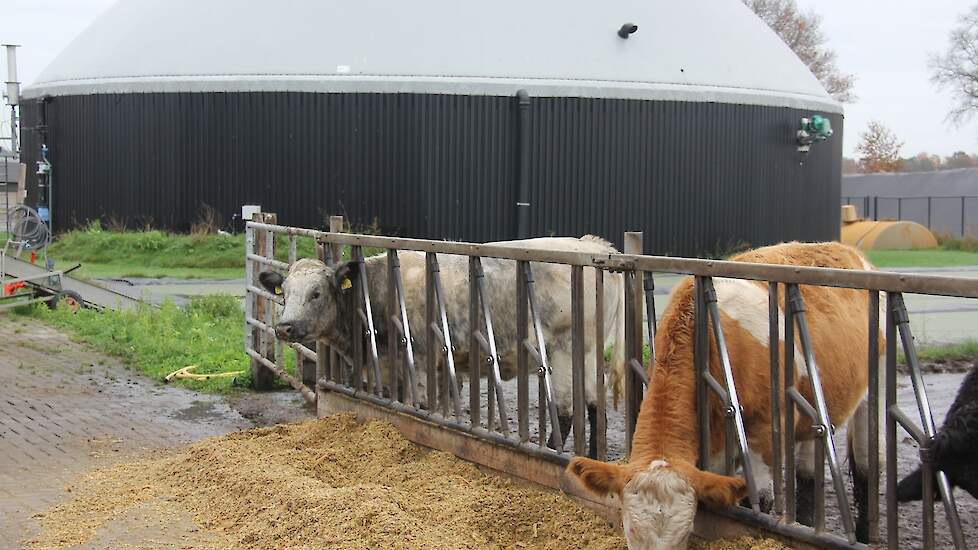 Op Future Farm staat een mono-mestvergister die gevoed wordt met een mengsel van drijfmest uit de ligboxenstal en vaste mest uit de potstal. Het gas dat hiermee wordt geproduceerd wordt geleverd aan het gasnet. Dit levert een bijdrage aan het verdienmodel