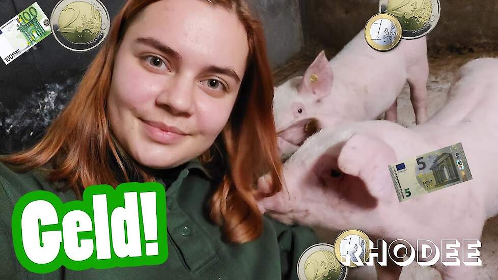 Wat verdient een varkenshouder? - Rhodee's vlog #10 - Vloggende jonge boeren