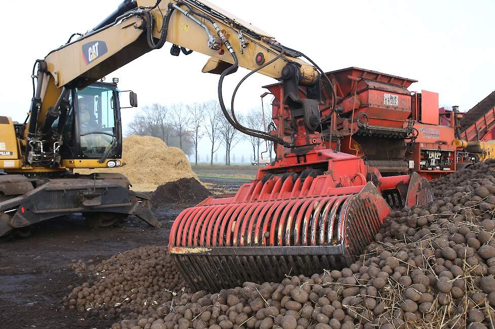 Zetmeelaardappelen laden voor Avebe