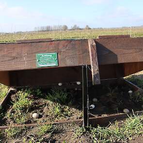 Met de kofferval kunnen vossen of steenmarters gevangen worden. Op de bovenkant van de val zit een net. Vangen van een vos vraagt een grotere maaswijdte dan vangen van hermelijn of steenmarter. Andere dieren die per ongeluk in de val terechtkomen moeten n