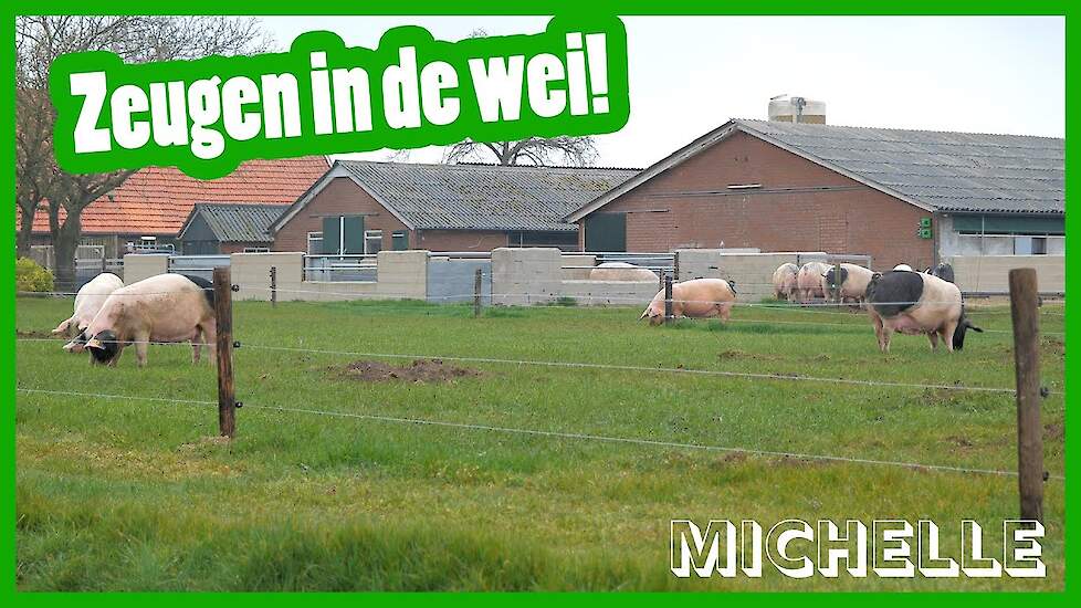 Zeugen in de wei! - Michelle's vlog #6 - Vloggende jonge boeren