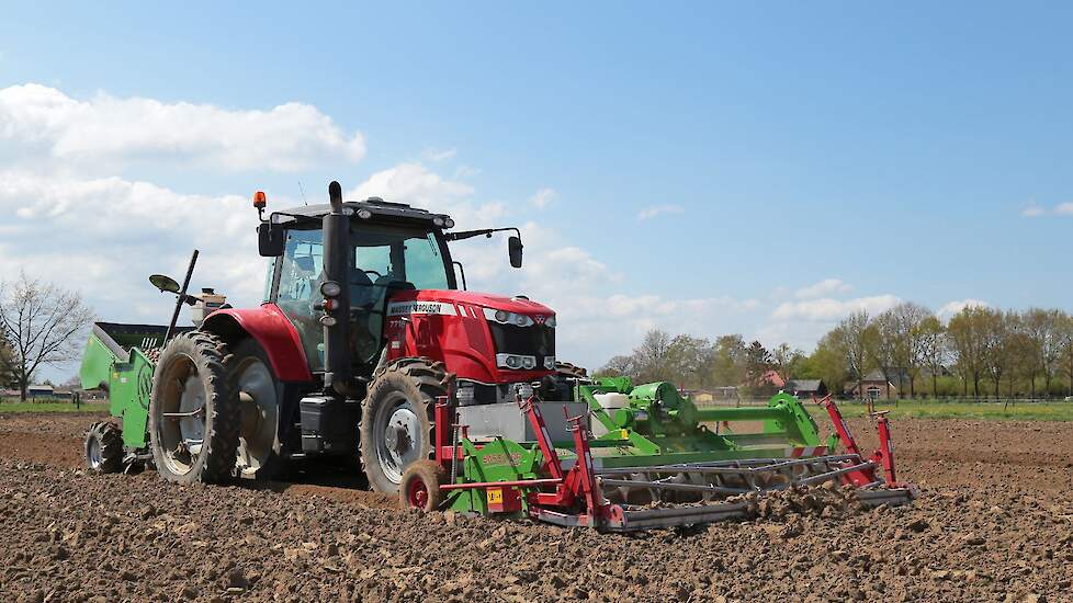 In Baak wordt op een stuk land van 10 hectare drie rassen pootaardappelen gepoot.