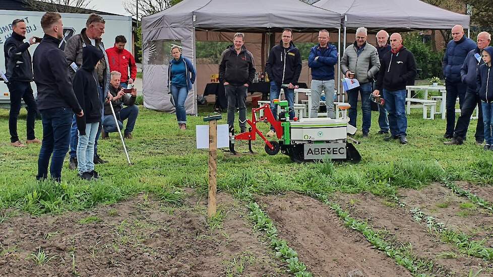 Enkele stroken met veldbonen heeft Van Geresteijn in strokenteelt gezaaid. Naast de veldbonen staan andere groentes zoals pompoenen, suikermaïs en rode bieten. Uitdaging in groente teelt is onkruiddruk. Arbeid is schaars vandaar dat de oplossing wordt gez