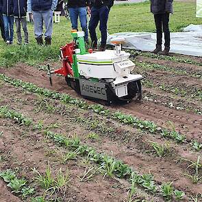 Heel snel schoffelt de robot overigens niet. Door (het ontbreken van) wetgeving mag een autonome robot zonder toezicht niet harder dan 2 kilometer per uur rijden tijdens zijn werkzaamheden.