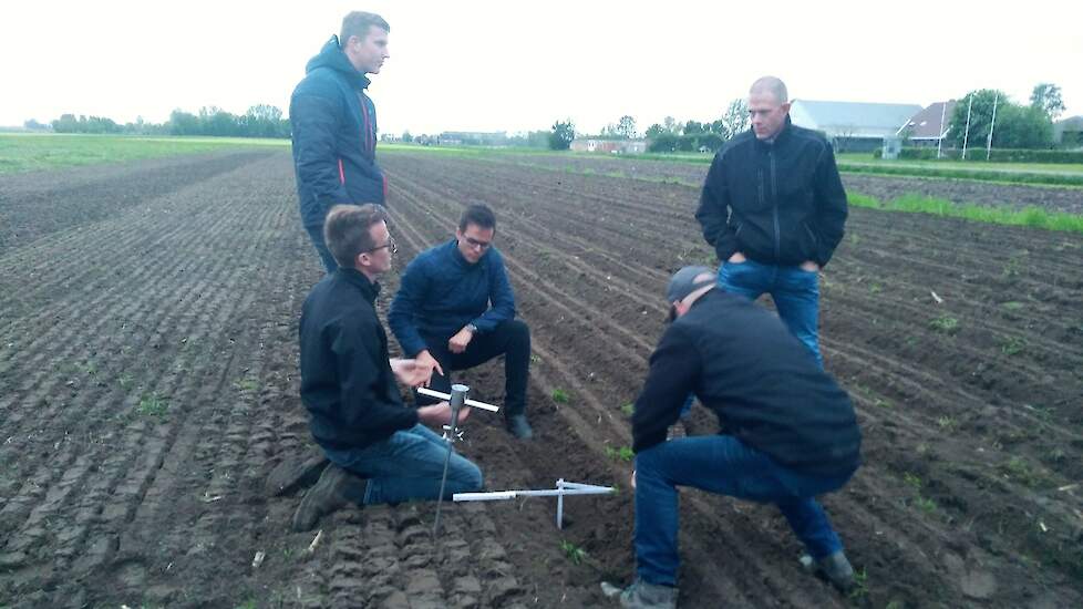 Volgens Dieker zijn de verschillen onder de grond minstens zo belangrijk als boven de grond. De ruggenteeltwoeler trekt namelijk de ondergrond dieper los dan bij gangbaar ploegen.