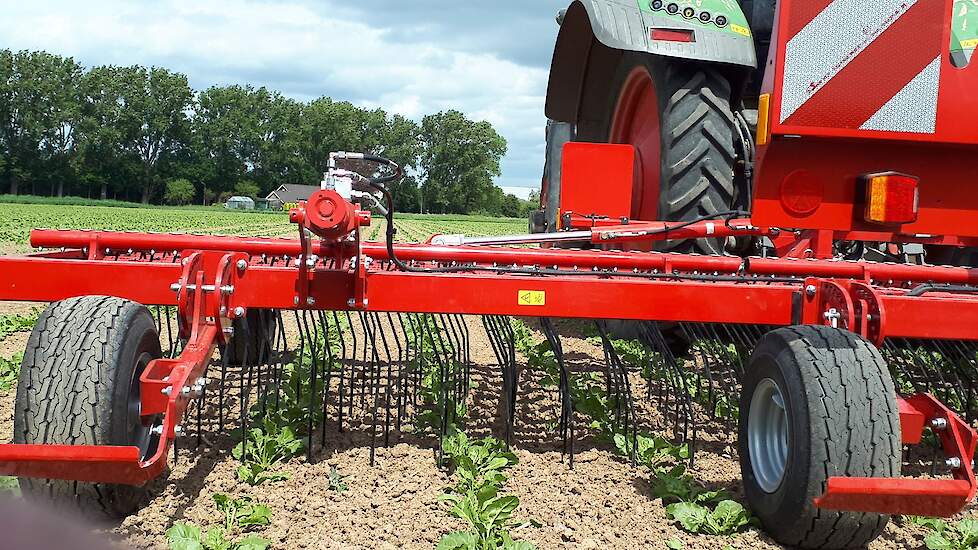 Van Horsch ook een wiedeg, uitgevoerd met een dubbele veer per tand. De werkingsagressiviteit is daardoor hetzelfde, ongeacht de stand van de tand. In vlak bietenland, maar ook op en tussen aardappelruggen. Wiedeggen is een kwestie van blijven rijden, ook