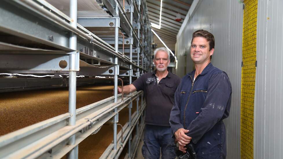 De meelwormboerderij is van Henk en zijn zoons Matthijs (foto) en Eelco Haaring.