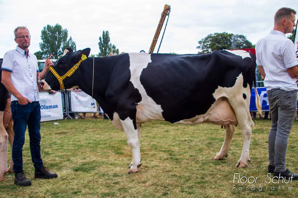 Martine 541 (V: Barnkamper Support) van melkveebedrijf Geertman uit Steegeren won de duurzaamheidsbokaal. Ze blinkt na 122.000 liter melkproductie nog steeds uit in uiergezondheid en vruchtbaarheid.