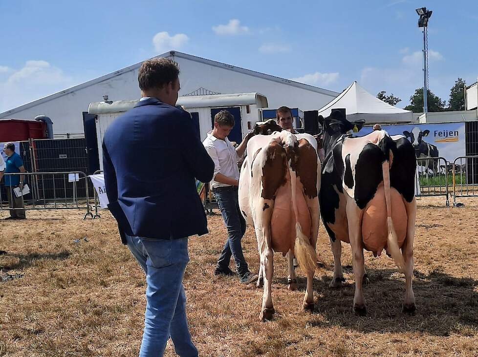 Keurmeester Nico Bons geeft uitleg bij het kampioensduo van de oudere koeien