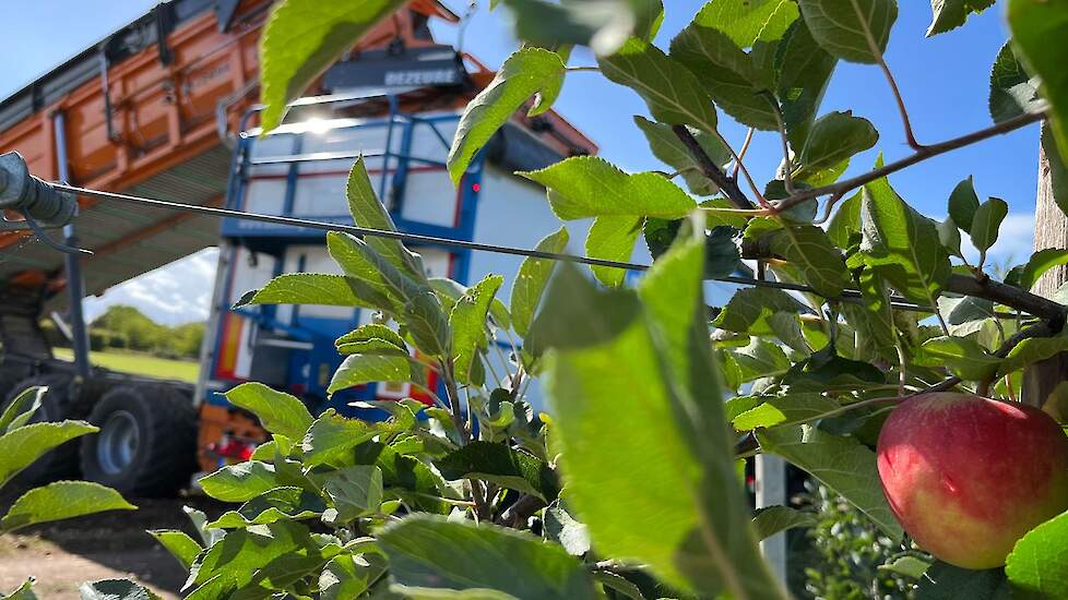 Aardappelen en appels. Op het naastgelegen perceel oogst een fruitteler Elstar-appels. Volop bedrijvigheid in Leuth.