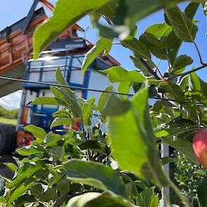 Aardappelen en appels. Op het naastgelegen perceel oogst een fruitteler Elstar-appels. Volop bedrijvigheid in Leuth.