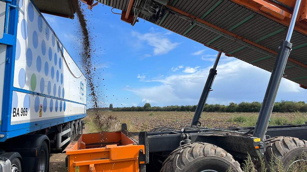 De tarragrond valt naar beneden.