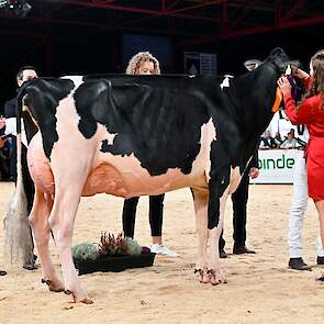 De zwartbonte middenklasse werd afgetrapt met een rubriek waarin Southland Sidekick Gina van Southland Holsteins van de familie Van Beek uit Teteringen op kop kwam. De Sidekick-dochter blonk niet uit in breedtematen, maar had een geweldige uier en een fij