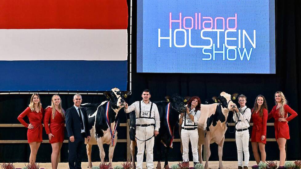 De zwartbonte kampioenes in de middenklasse. Van links naar rechts: kampioene Heerenbrink Angelina, reservekampioene Bolleholster Solo Mae en Honourable Mention Lena 622.