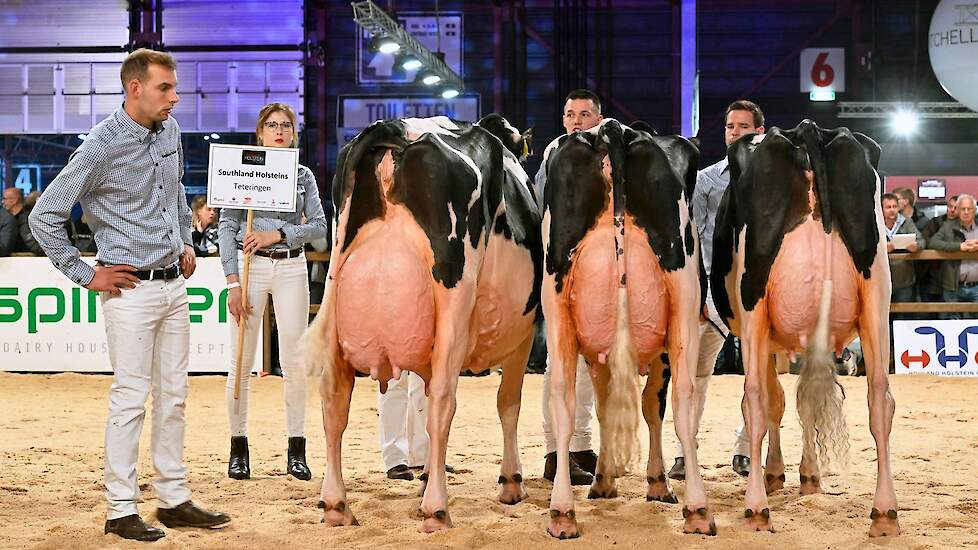 De strijd om de beste bedrijfsgroep speelde zich af op hoog niveau. Bij zwartbont deden acht groepen mee. Deze groep van Southland Holsteins won de titel. De groep opende met een fantastische kopkoe waarbij de twee jongere koeien goed aansloten.