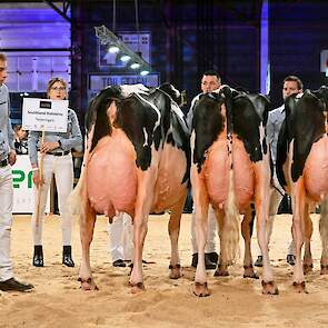 De strijd om de beste bedrijfsgroep speelde zich af op hoog niveau. Bij zwartbont deden acht groepen mee. Deze groep van Southland Holsteins won de titel. De groep opende met een fantastische kopkoe waarbij de twee jongere koeien goed aansloten.