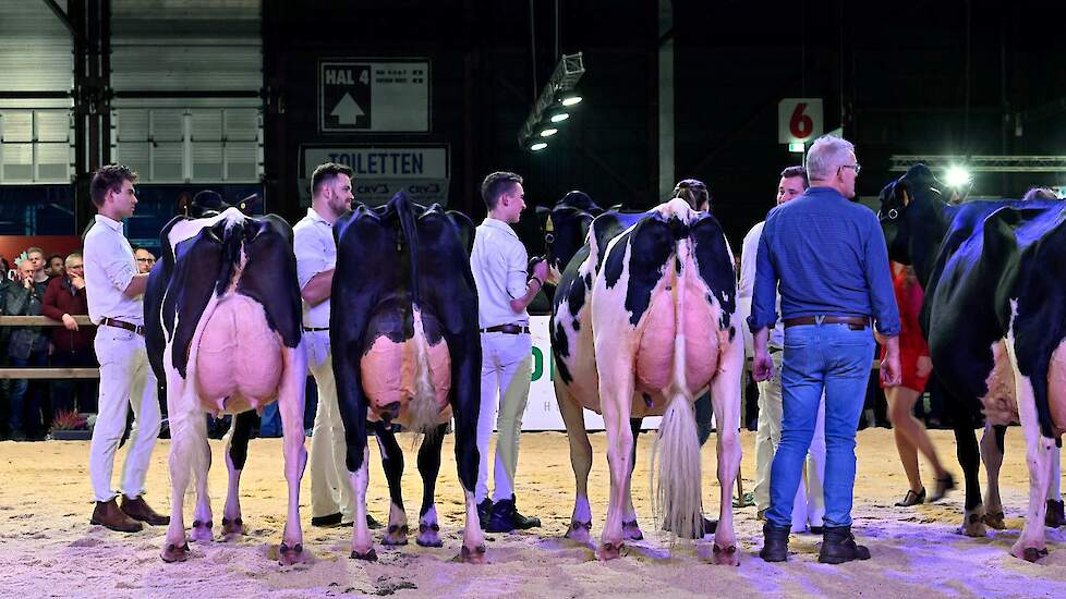 De groep van De Groot, Everdingen kreeg de eervolle vermelding voor haar uniforme, jeugdige groep kwaliteitskoeien.