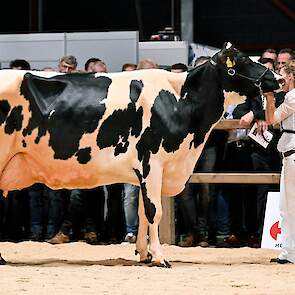 Op de tweede plaats volgde Rixt van de familie Altenburg uit Koufurderrige. De Mixco-dochter werd onlangs  seniorenkampioene op de veekeuring Fryslân. Ze is best ontwikkeld en heeft een beste uier en droge benen.