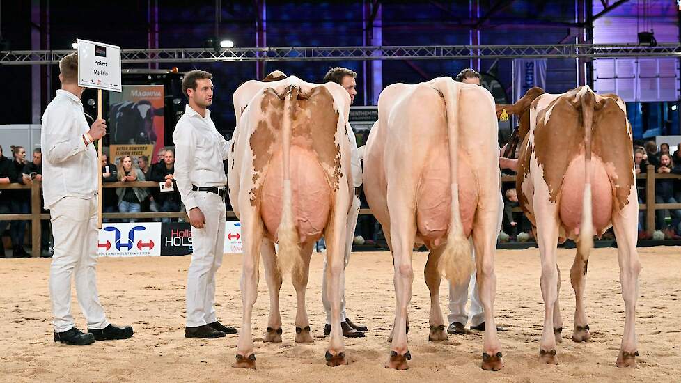 Bij roodbont verschenen zeven groepen in de ring. Pinkert won de titel. De eerste twee koeien waren zeer groot en leken als twee druppels water op elkaar. Ze werden gevolgd door de vaarzenkampioene die een maatje kleiner was, maar dat compenseerde met haa