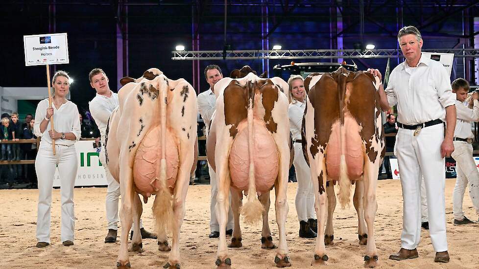 De groep van Steegink, Holten viel net buiten de prijzen, maar mocht zeker gezien worden.