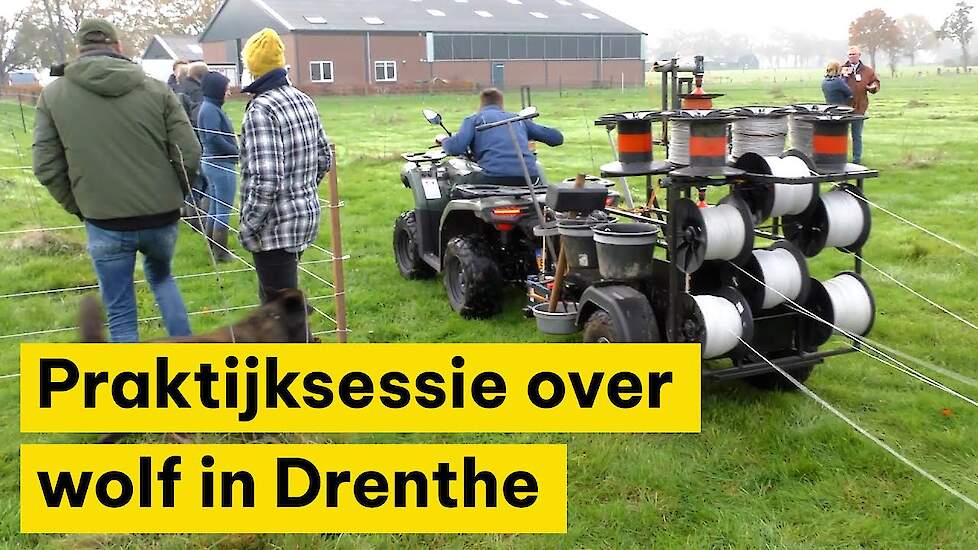 Praktijksessie voor schapenhouders over wolf in Drenthe