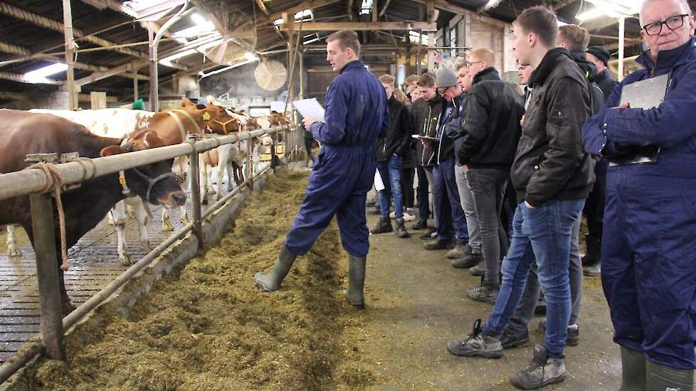 Een eerste kennismaking met de koeien.