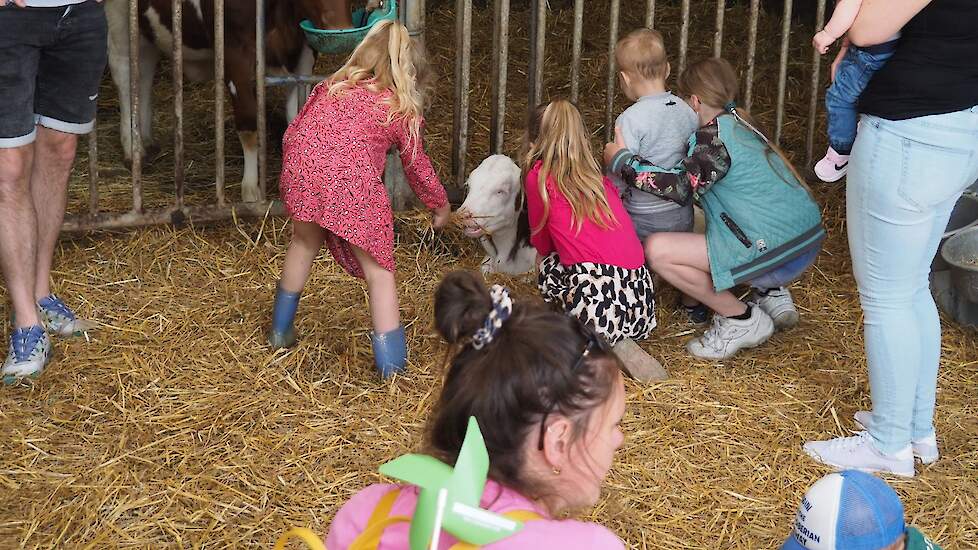 In de veldschuur krijgen de kinderen alle ruimte om uitgebreid te knuffelen met de jongste aanwinsten op het bedrijf.