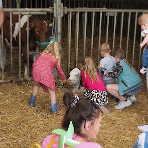 In de veldschuur krijgen de kinderen alle ruimte om uitgebreid te knuffelen met de jongste aanwinsten op het bedrijf.