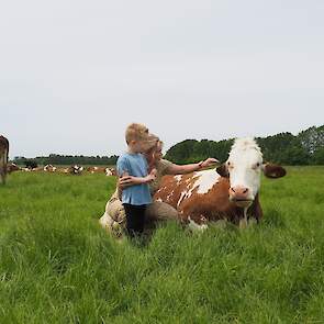 Veel bezoekers maakten van de gelegenheid gebruik onze koeien op te zoeken in de wei.