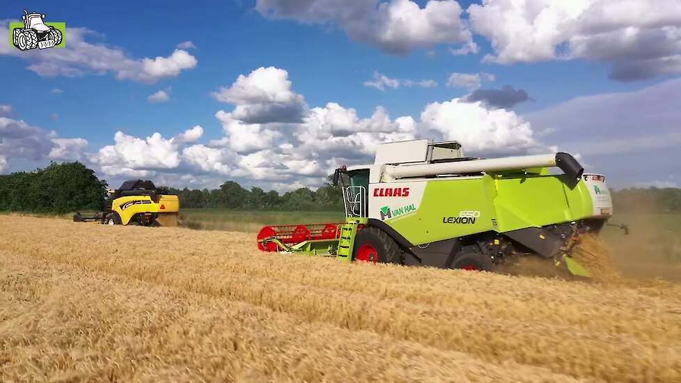 Claas Lexion en New Holland CX in de wintergerst