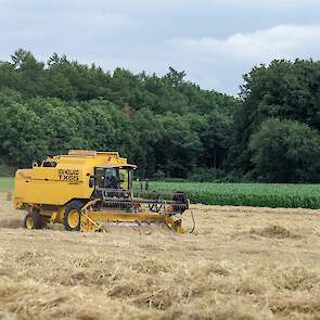 Meijerink heeft het gewas op vrijdag gemaaid, en de dag er na kwam er regen. „3 tot 4 mm. Zondag is het gewas goed gedroogd. Maandagmiddag heb ik het gedorst.”