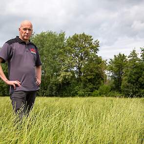 Ook bedrijfsleider Dave te Woerd van WOPA (foto) is tevreden over de opbrengst op het eigen bedrijf. „We zitten op 1.500 tot 1.600 kg, en op de beste percelen halen we 2.000 kg.” Hij denkt dat de regen net op tijd is gekomen, waar het gewas nog goed van h