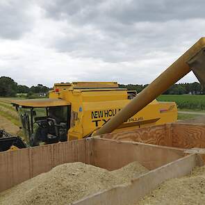 Door de regen van de laatste weken was het vochtgehalte redelijk hoog: 20 procent. „Het moet op 12 tot 13 procent zitten.” Meijerink droogt de oogst zelf. Het zaad wordt op het land in speciale kisten gestort, waarna de oogst in de schuur van onderen word