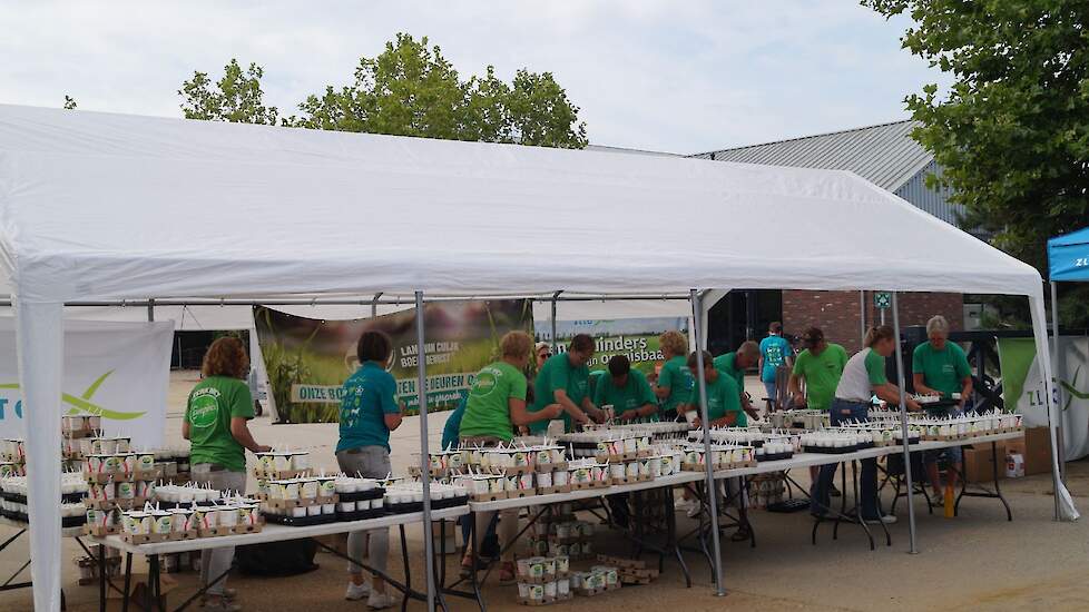 Veel vrijwilligers van ZLTO Land van Cuijk, Land van Cuijk Boert Bewust en leden van FrieslandCampina waren al vroeg in touw om de yoghurt in bekers te doen, worst (125 kilo gesponsord door Vion) en groenten en fruit te snijden. Dinsdag heeft Aviko aardap