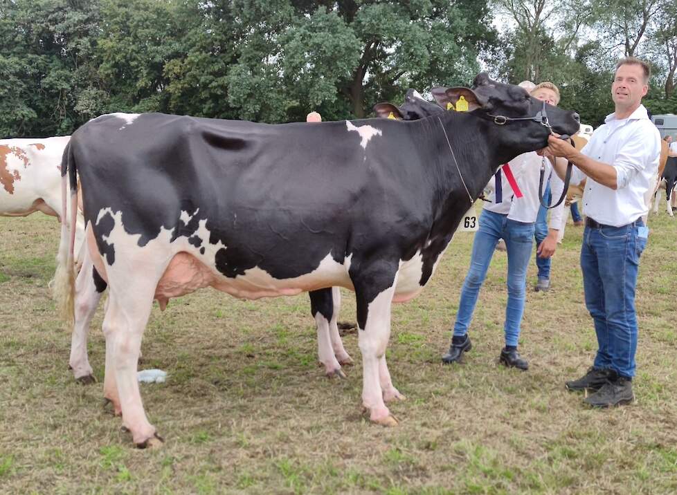 Snieder Inksou 7960 van de familie Strootman pakte de titel bij de jonge zwartbonten.