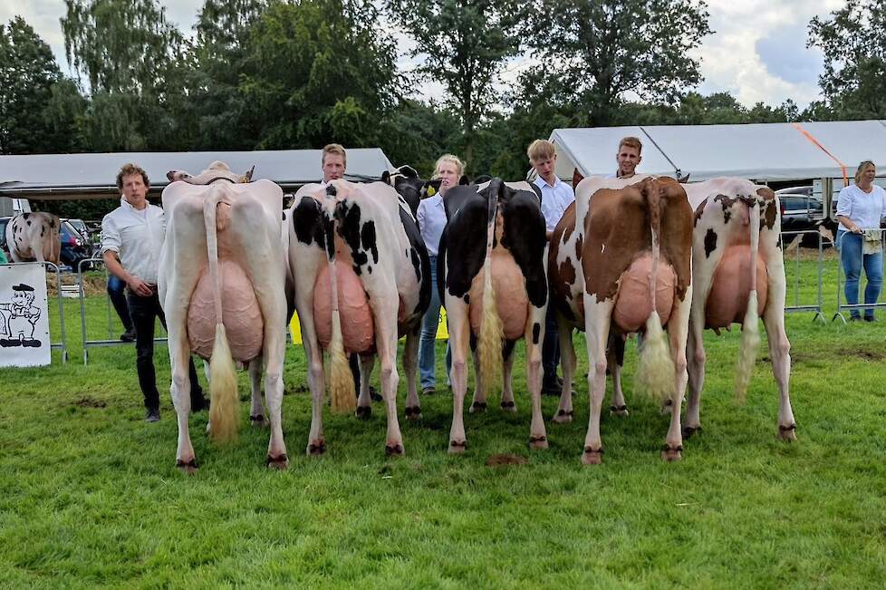 De combinatie Abbink/Willems pakte naast drie individuele titels ook de prijs voor de beste bedrijfsgroep.