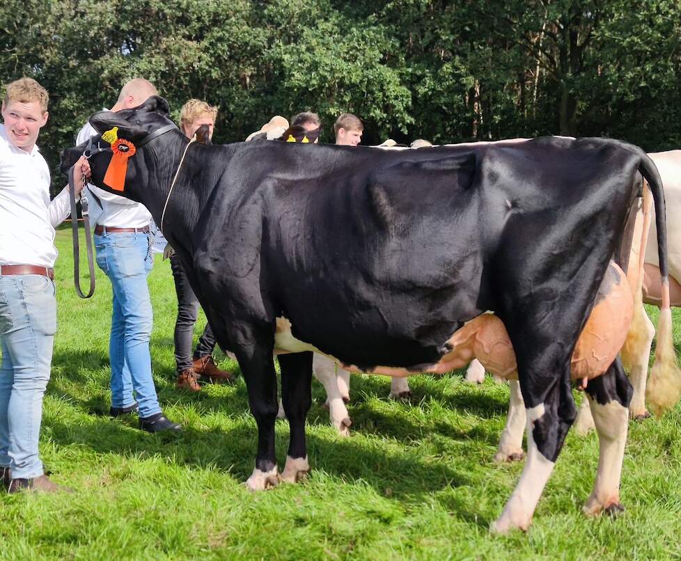 Nijmeijers Hendrika 639 pakte onbedreigd de titel bij de zwartbonte senioren.