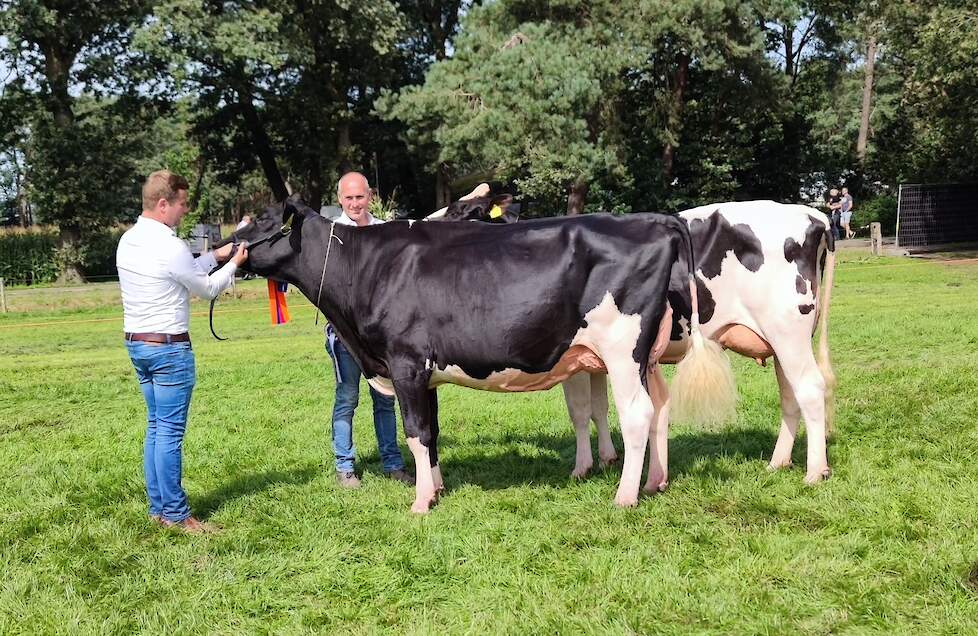 Ook de zwartbonte vaarzentitel ging naar Jan Steegink met Heerenbrink Butterfly 1.