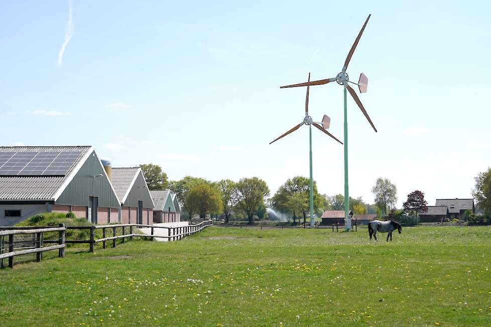 De provincie Gelderland vreest dat er in de pakweg 25 jaar dat de wieken draaien vogels en vleermuizen tegen de wieken aan vliegen en hierbij verongelukken.