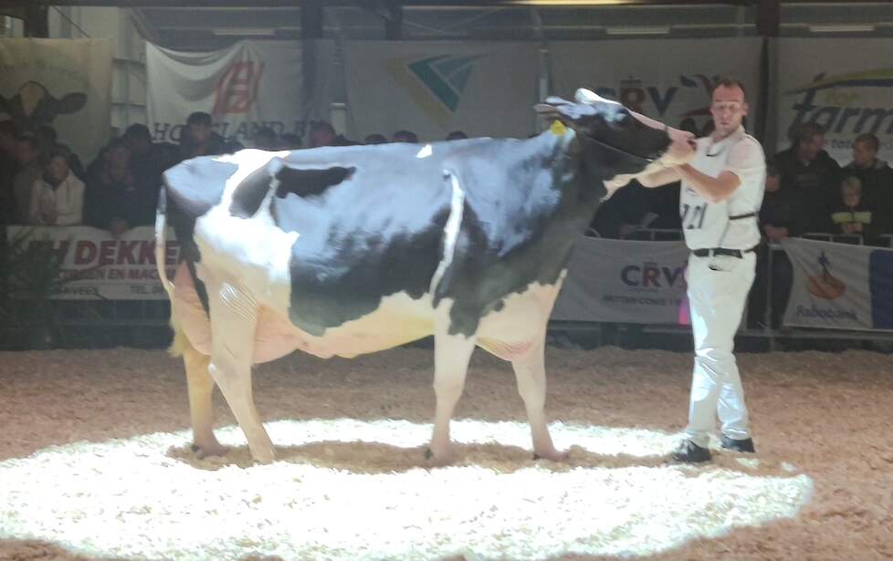 De Bree Aaltje 177 legde beslag op de titel bij de oudere zwartbonten.