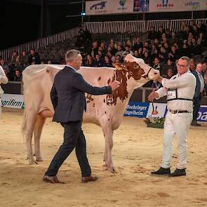 Het reservekampioenschap was voor Willems-Hoeve Jmw Applause 26.