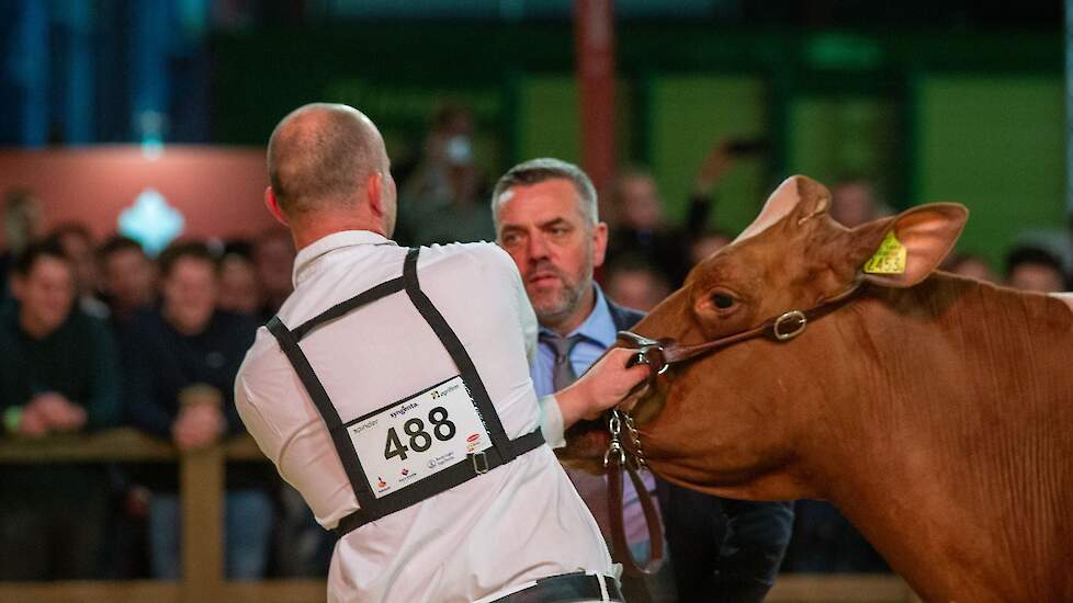 Het reservekampioenschap is voor Topcross Jaan 668.