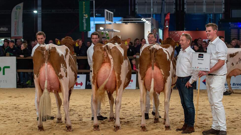 In de bedrijfsgroepencompetitie bracht de familie Pinkert een geweldige groep in de ring. Een uniforme groep jonge kwaliteitskoeien van mooi type met beste uiers en benen die beslag legde op de kampioenstitel.