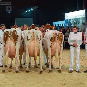 De familie Hermanussen van Barendonk Holsteins uit Beers stuurde een prachtige groep uitgezwaarde koeien de ring in. De laatste koe was net even anders dan de eerste twee qua type en dat betekende een eervolle vermelding voor de imponerende groep.