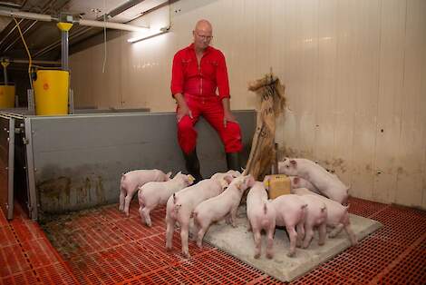 Dick Wermink met zijn Voedselplaat